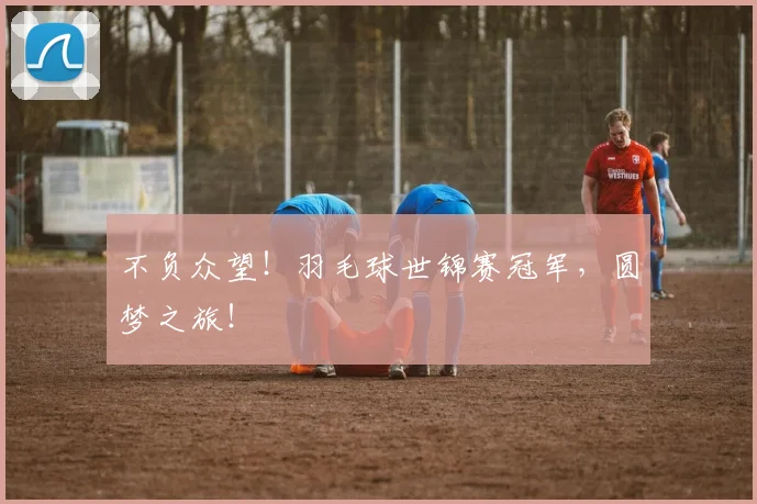 不负众望！羽毛球世锦赛冠军，圆梦之旅！