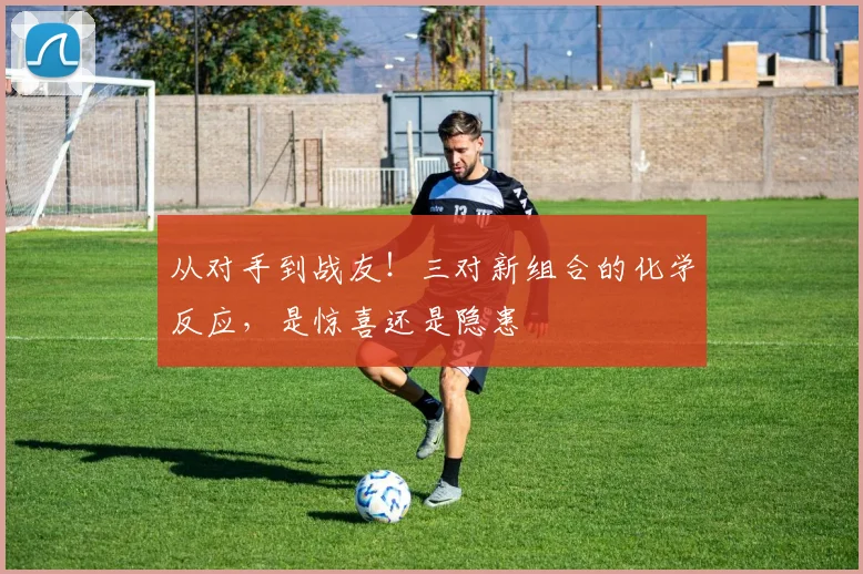 从对手到战友！三对新组合的化学反应，是惊喜还是隐患