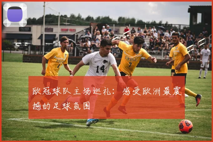 欧冠球队主场巡礼:感受欧洲最震撼的足球氛围