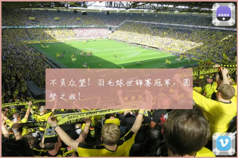 不负众望！羽毛球世锦赛冠军，圆梦之旅！